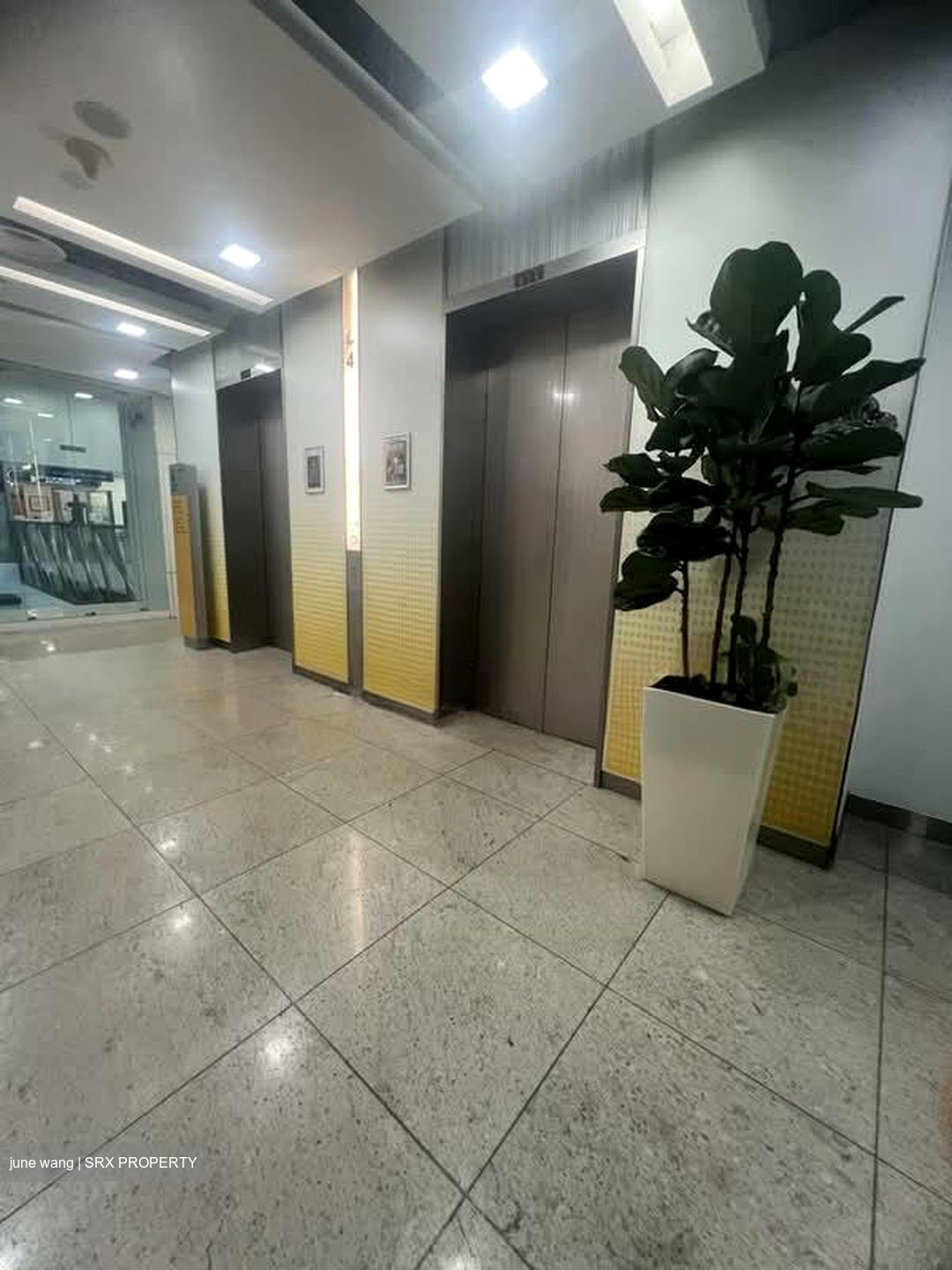 The Central (D1), Retail #566885981